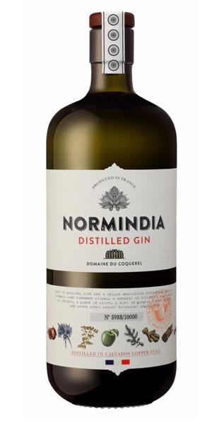 A product image for Normindia Gin